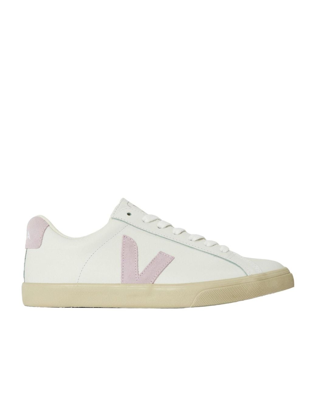 Veja White Minimalist Lowtop Shoes