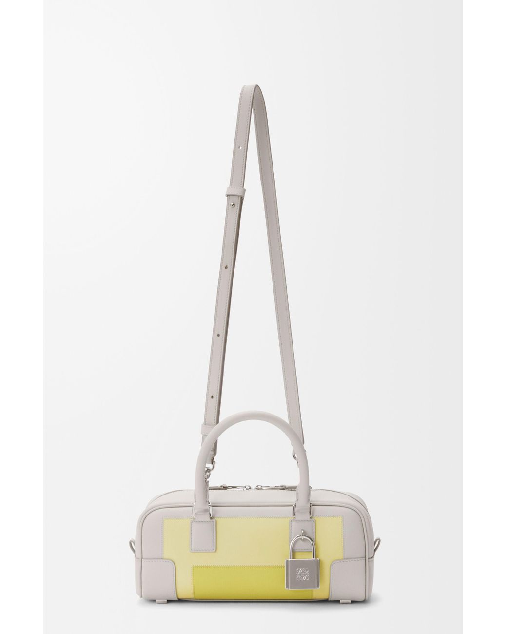 Loewe Metallic Amazona 23 Cropped Bag