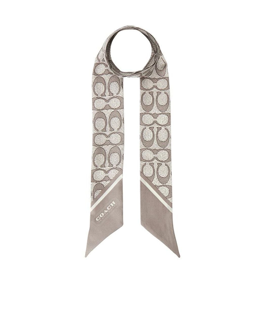 COACH White Pointed Silk Scarf