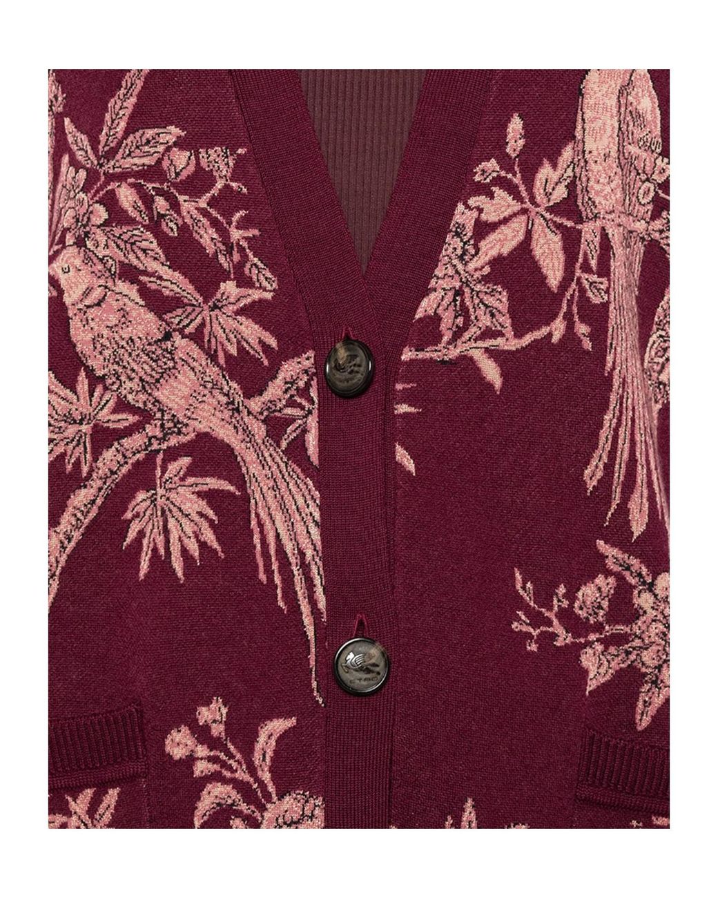 Etro Red Floral-Jacquard V-Neck Cardigan