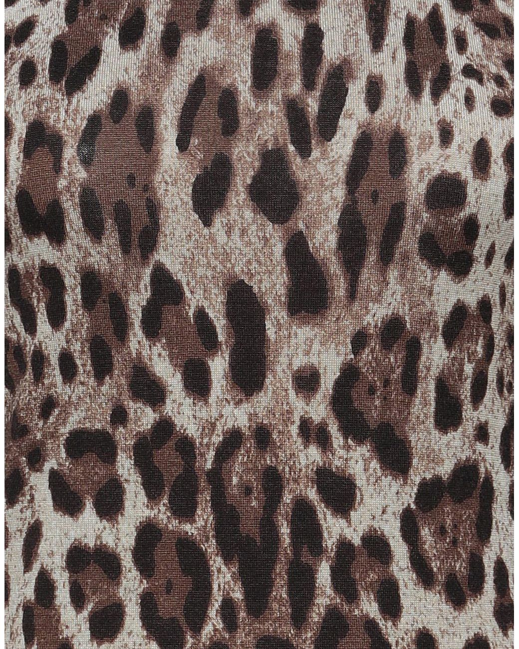 Dolce & Gabbana Brown Sweater