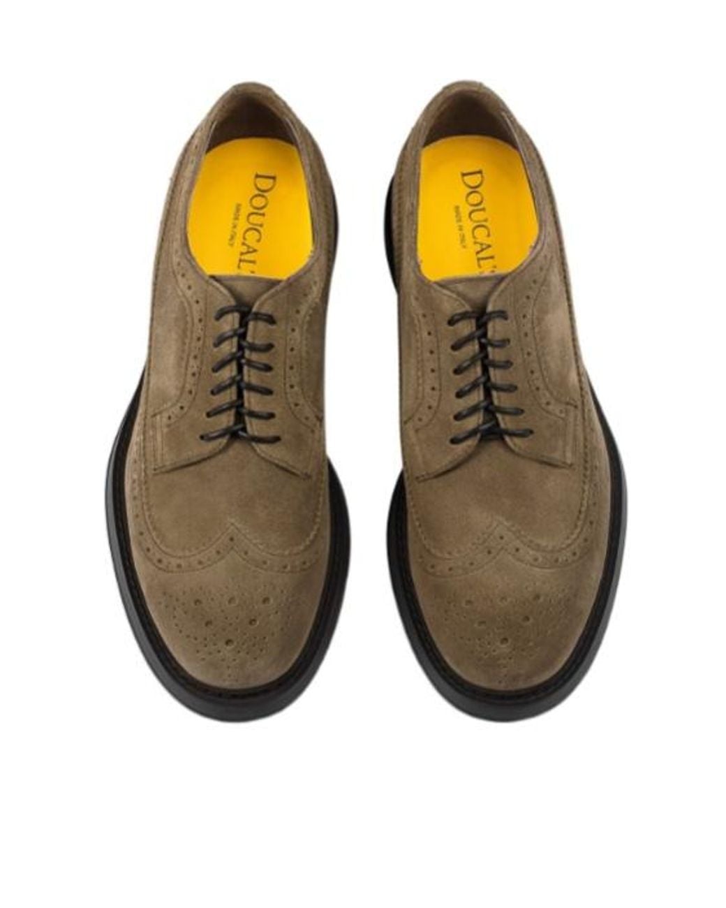 Doucal's Brown Swallowtail Derby Shoes for men