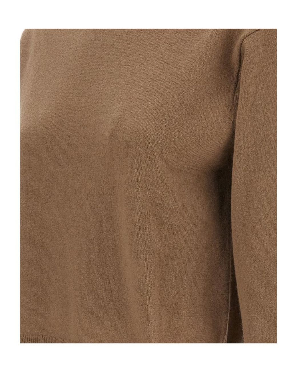 Extreme Cashmere Brown Long-Sleeved Crewneck Jumper