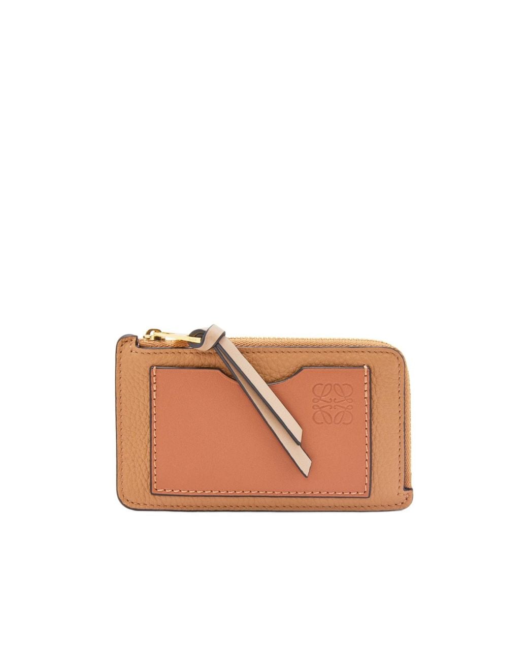 Loewe Multicolor Anagram Zipped Cardholder