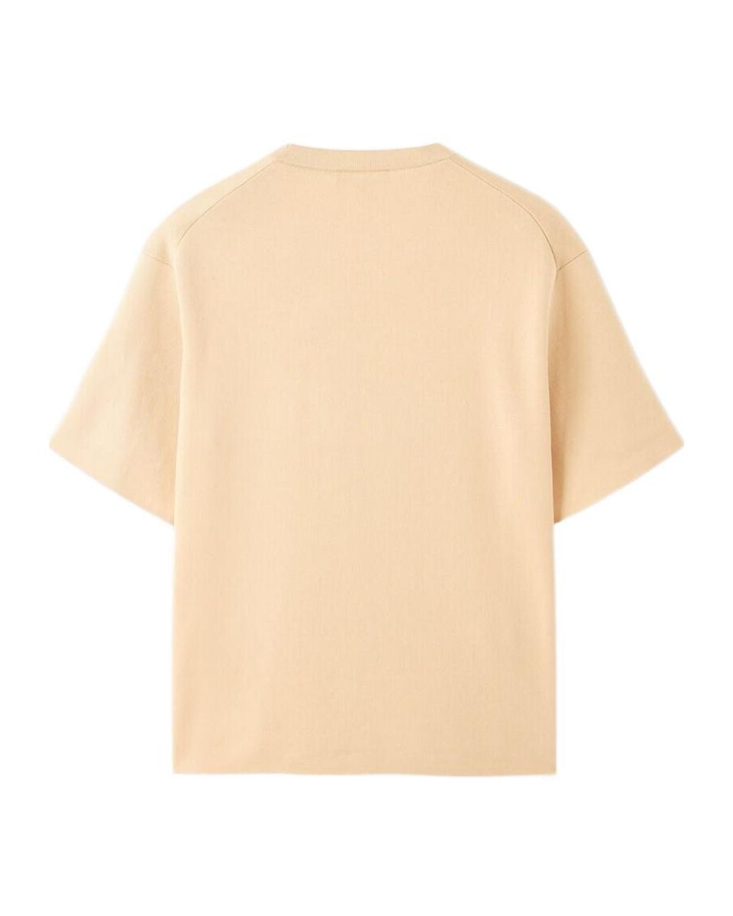 Loro Piana Natural Pichola Crewneck for men