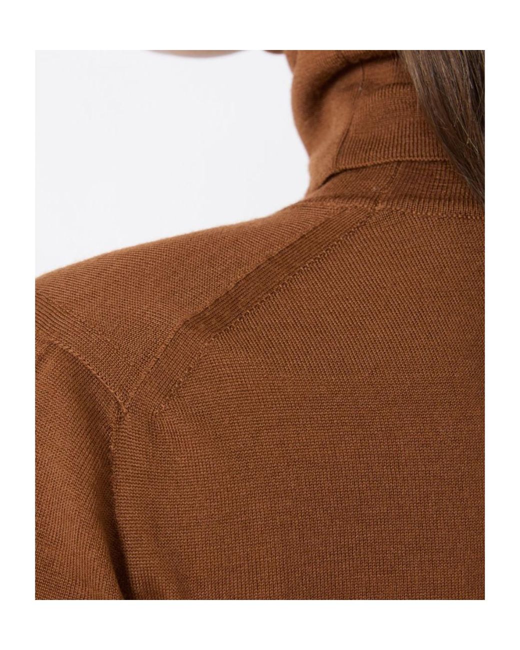 Max Mara Brown Saluto Roll-Neck Long-Sleeve Sweater