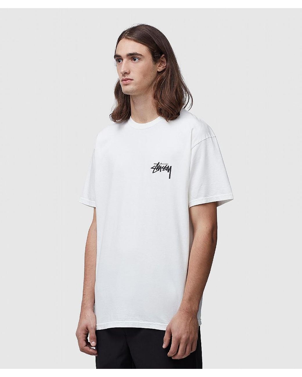 stussy-Natural-Daydream-Pig-