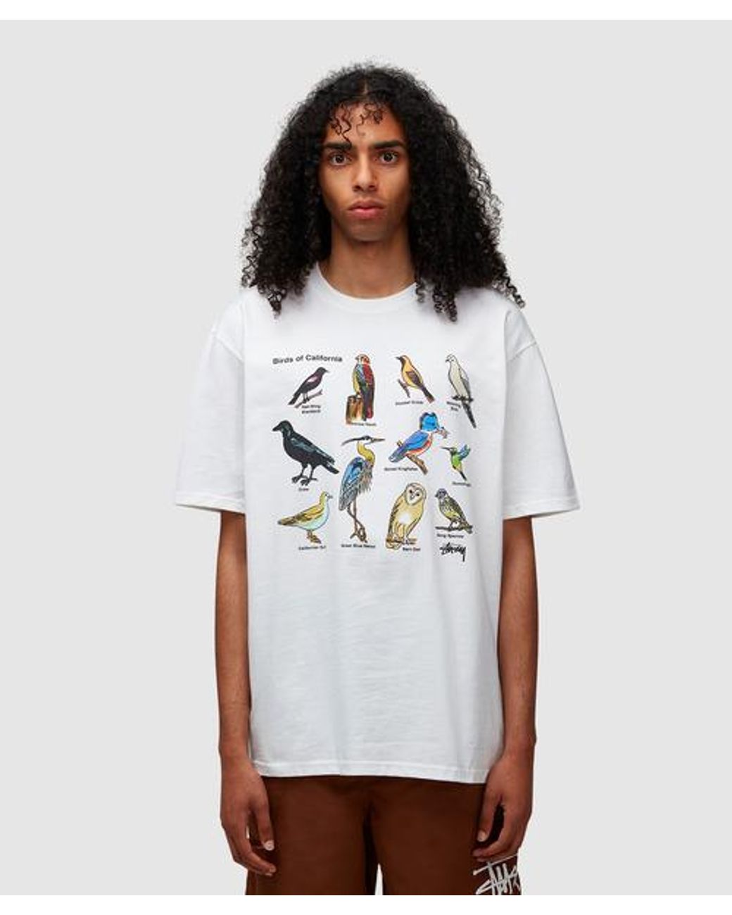 Stussy California Birds T-shirt in White for Men | Lyst