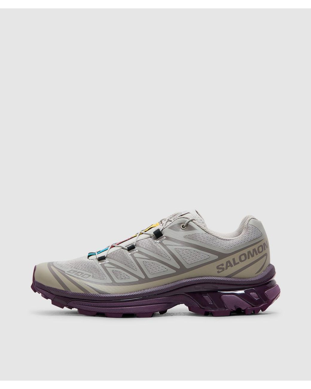 Salomon Lab Gray Xt-6 Sneaker (Paloma/Paloma/Winter Bloom for men