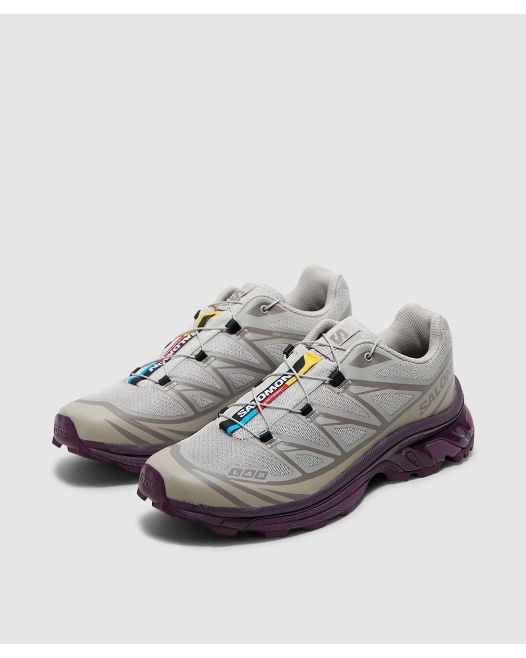 Salomon Lab Gray Xt-6 Sneaker (Paloma/Paloma/Winter Bloom for men