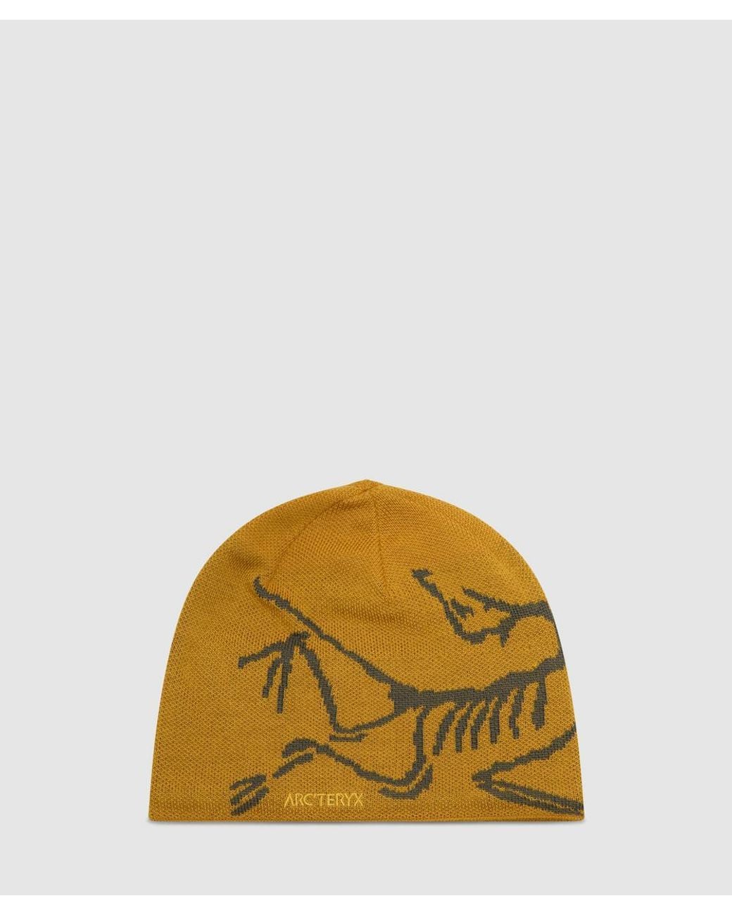 Arc'teryx Yellow Bird Head Toque Beanie (Nucleus/Mongoose