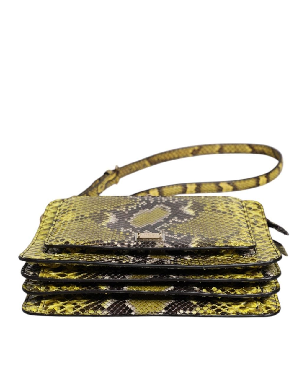 【VIP価格】DOLCE&GABBANA Green Exotic Leather Crossbody Bag Dolce & Gabbana Green Exotic Leather Dg Plaque Crossbody