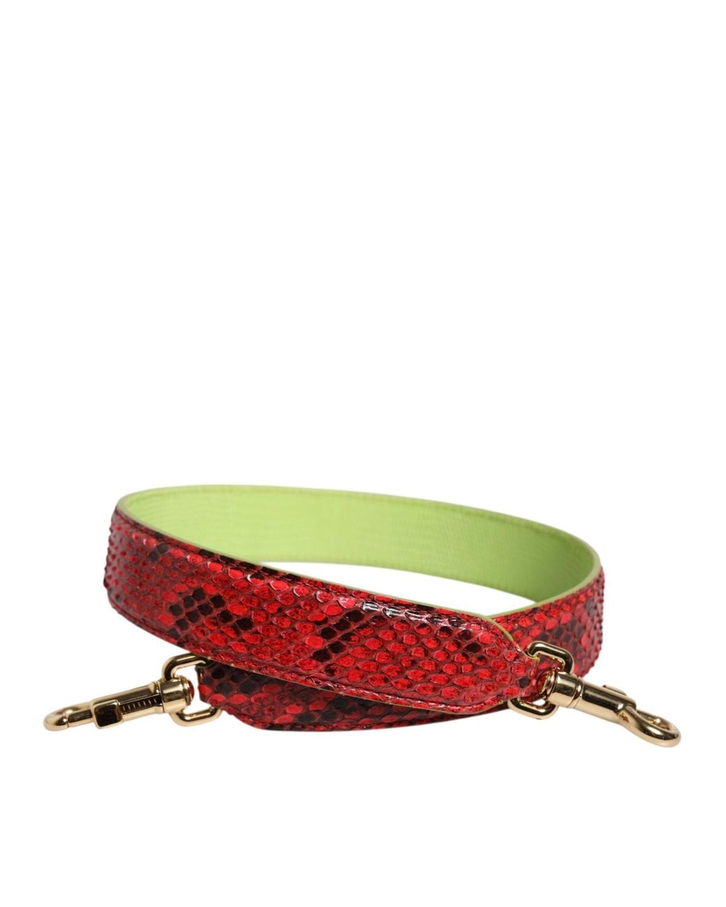 Dolce & Gabbana Green Red Exotic Leather Handbag Accessory Shoulder Strap