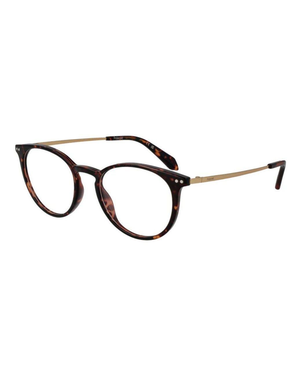 Polaroid Black Brown Titanium Glasses (frames)