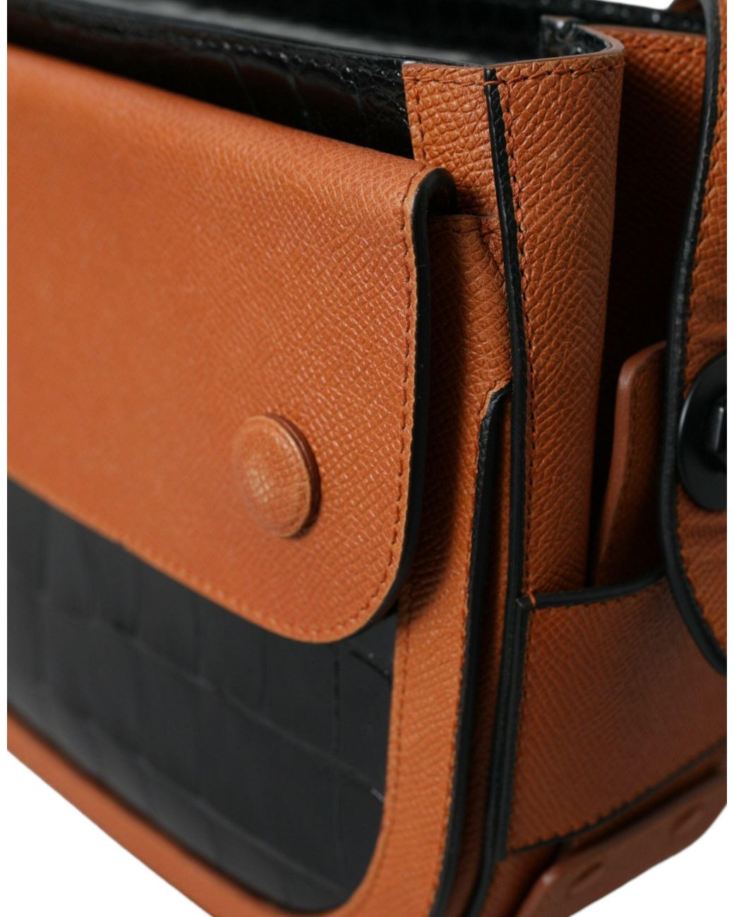 Balenciaga Brown Elegant Crocodile Leather Camera Bag