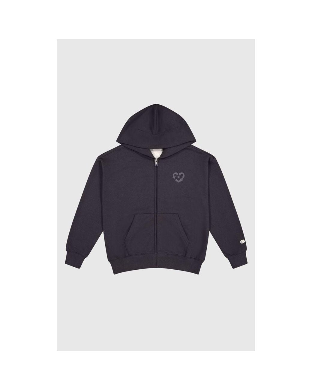 Champion Blue Cotton Sweatshirt
