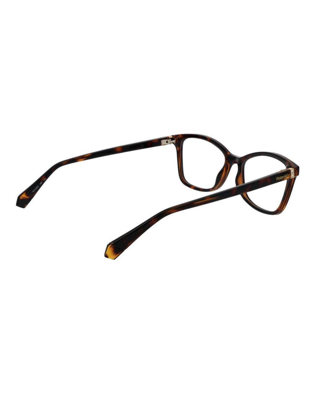 Polaroid Black Brown Polyamide Glasses (frames)