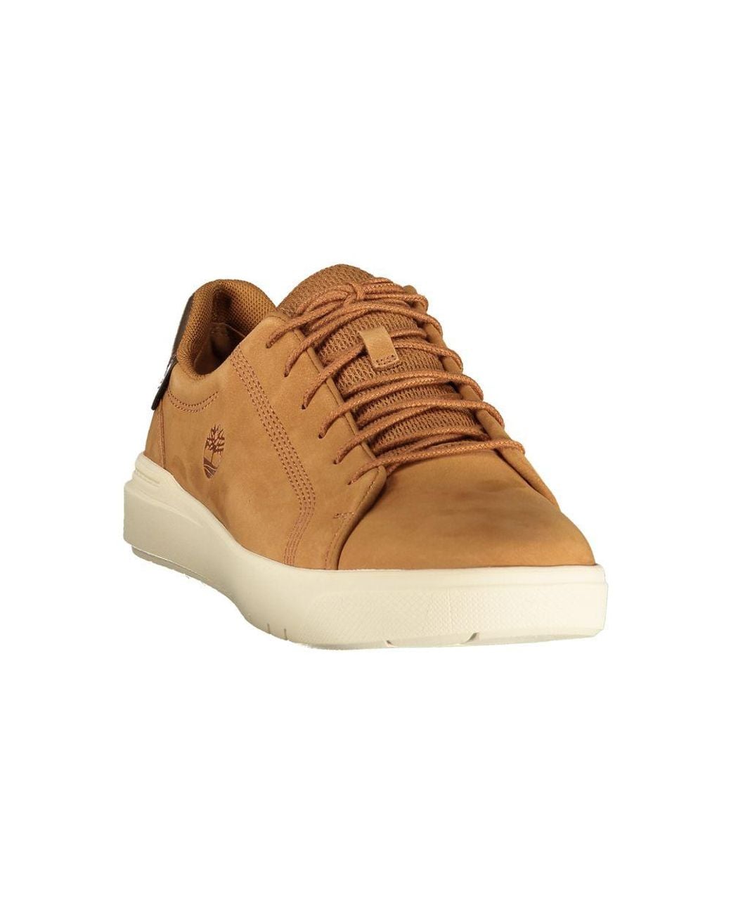 Timberland Brown Polyurethane Men's Sneaker for men