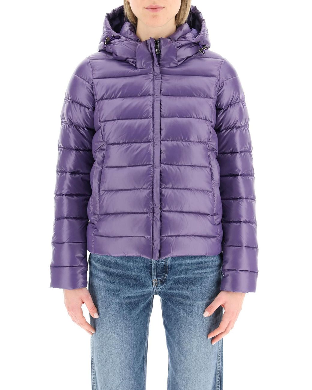 Purple pyrenex clearance