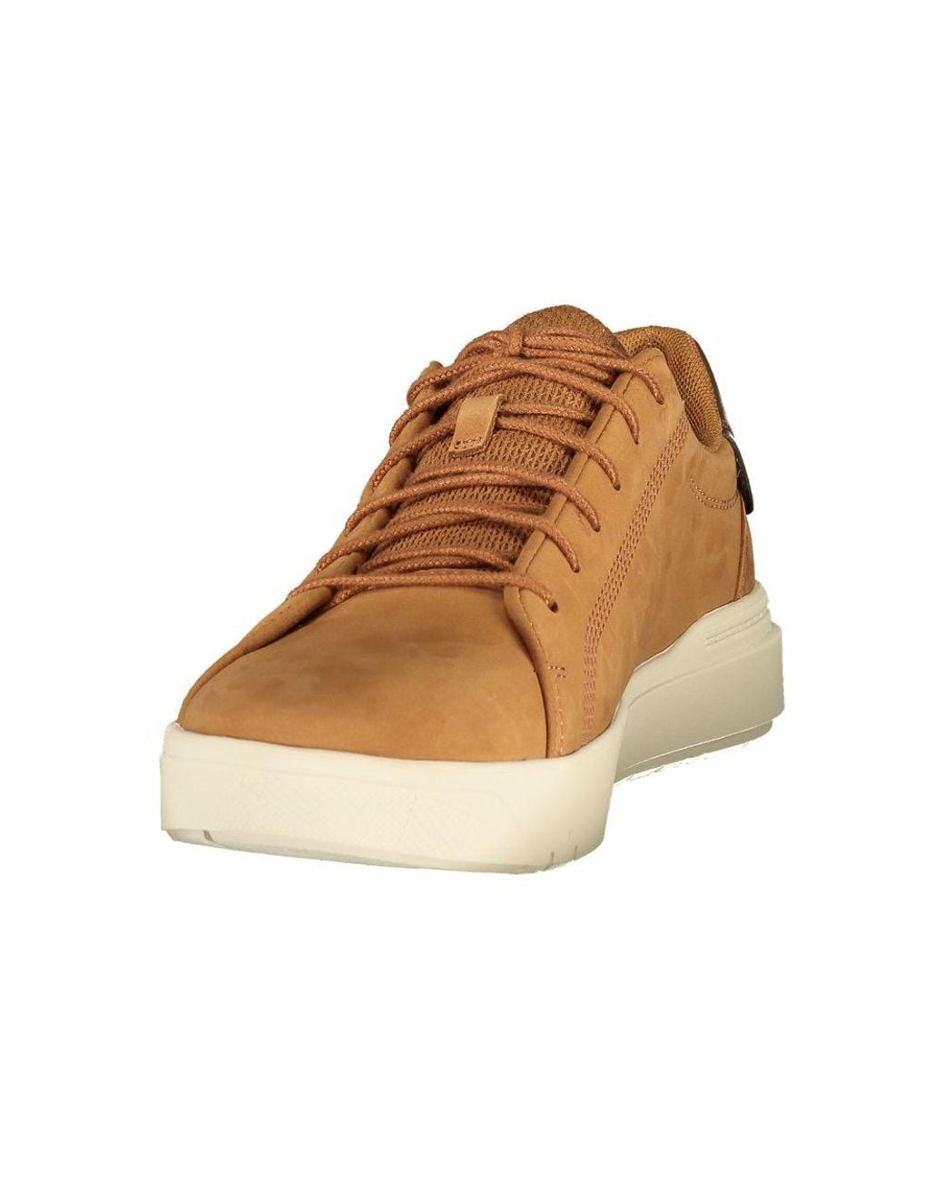 Timberland Brown Polyurethane Men's Sneaker for men