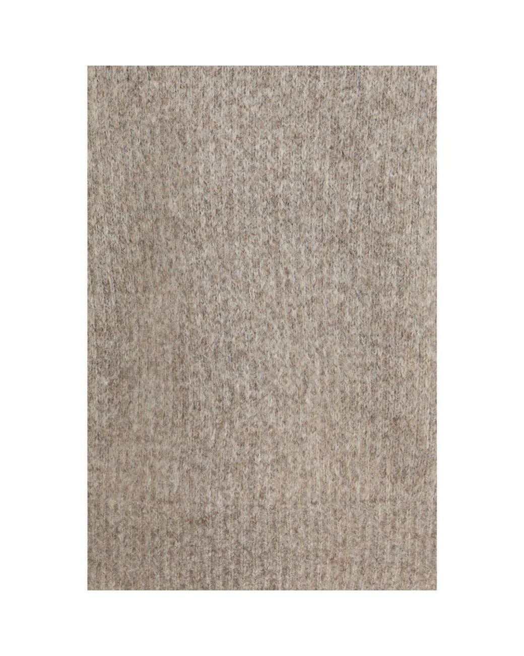 sunflower Gray Alpaca Vicugna Pacos Sweatshirt for men