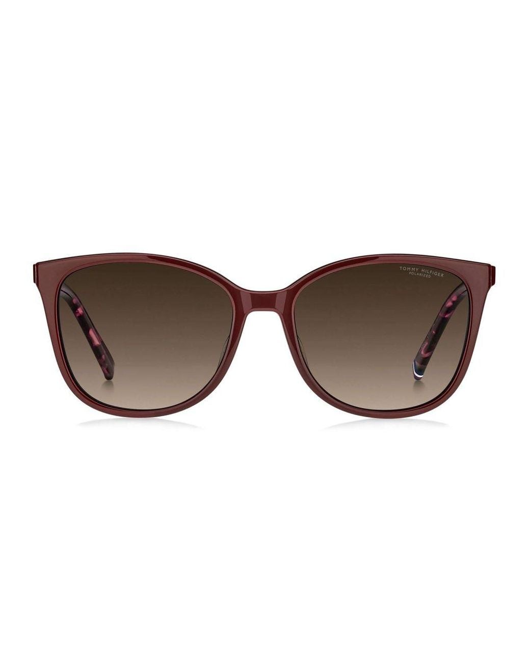 Tommy Hilfiger Brown Burgundy Acetate Glasses (frames)