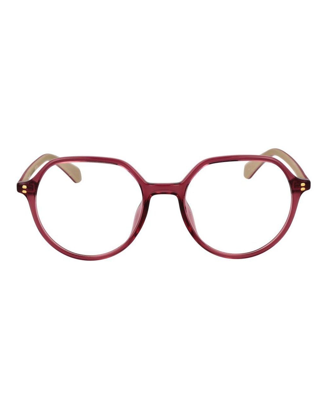 Polaroid Brown Purple Polyamide Glasses (frames)