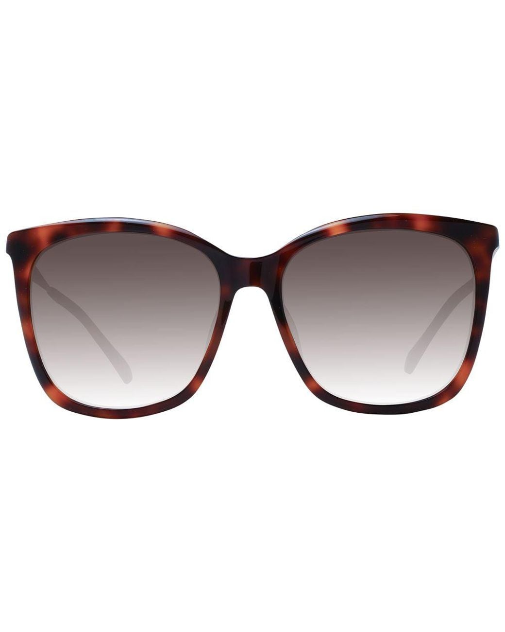 Jimmy Choo Black Brown Sunglasses