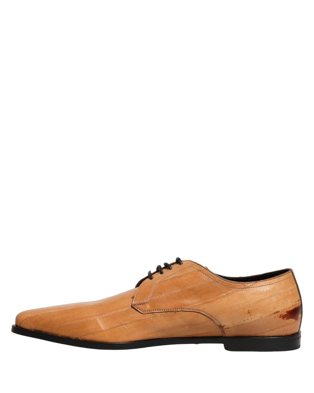 Dolce & Gabbana Brown Leather Lace Up Men Derby Dress Shoes for men