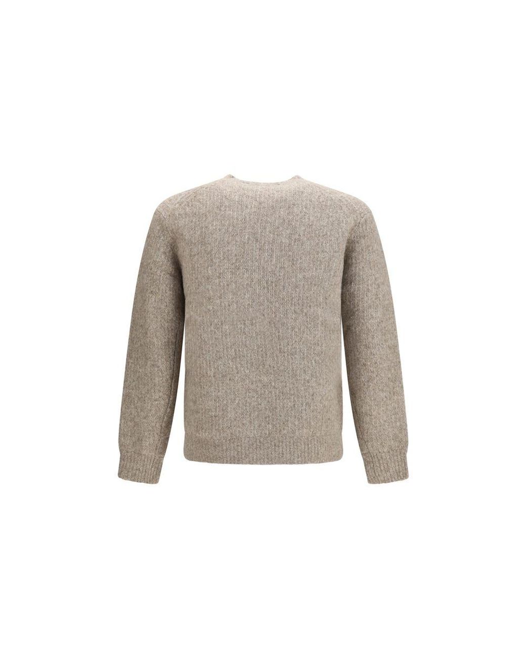 sunflower Gray Alpaca Vicugna Pacos Sweatshirt for men