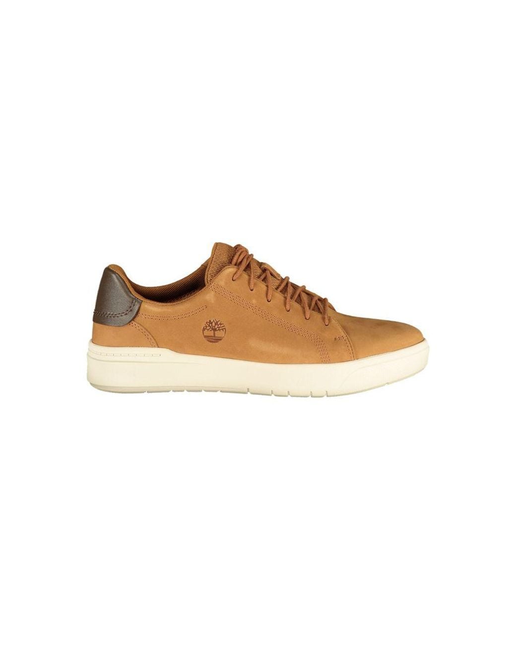 Timberland Brown Polyurethane Men's Sneaker for men