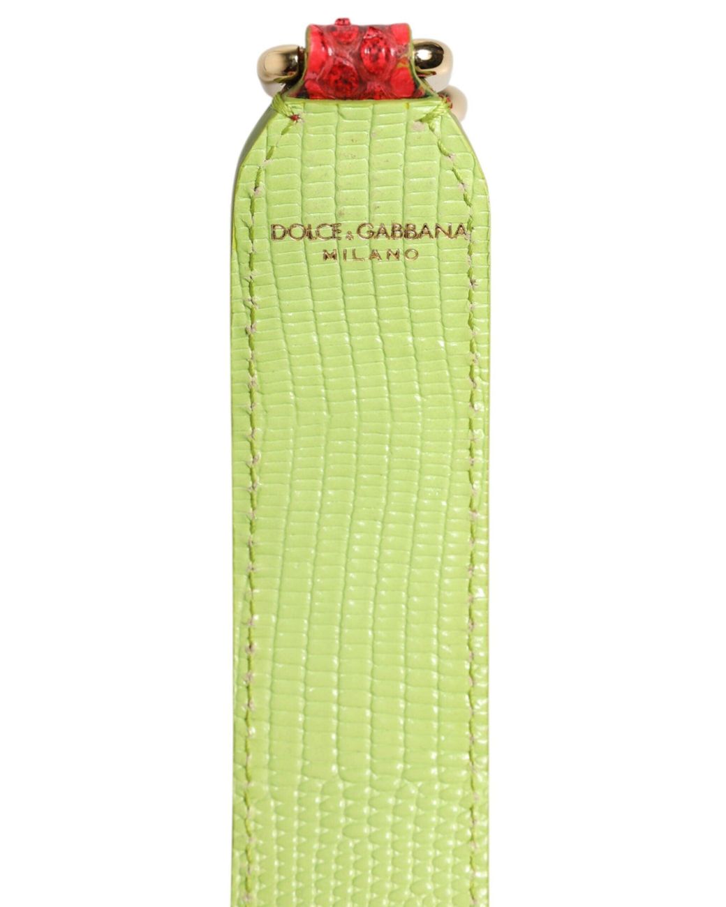 Dolce & Gabbana Green Red Exotic Leather Handbag Accessory Shoulder Strap