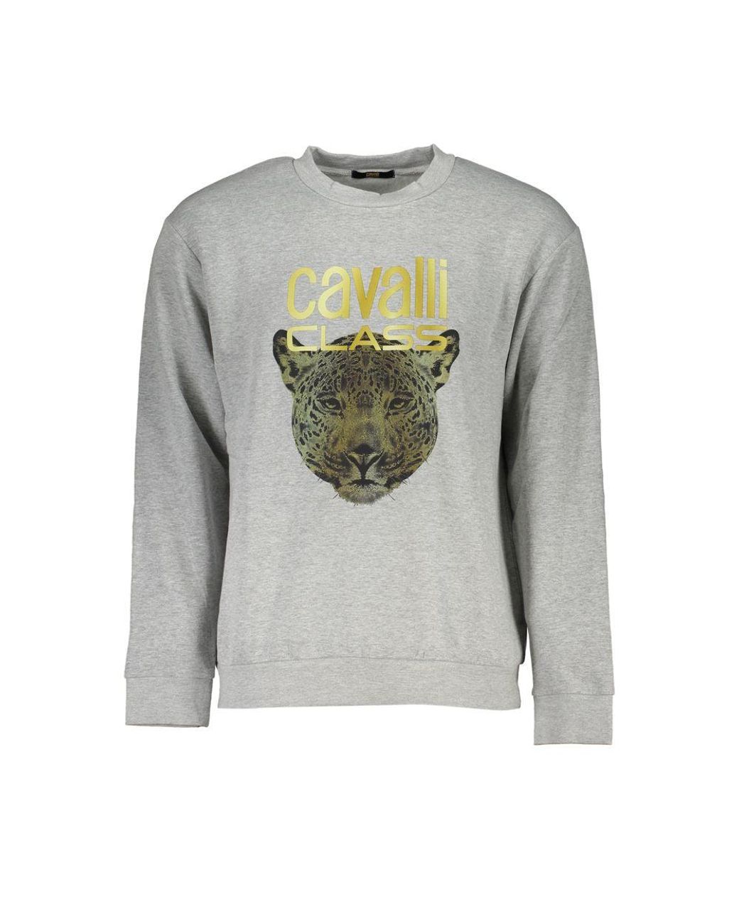Roberto Cavalli Gray Cotton Sweater for men