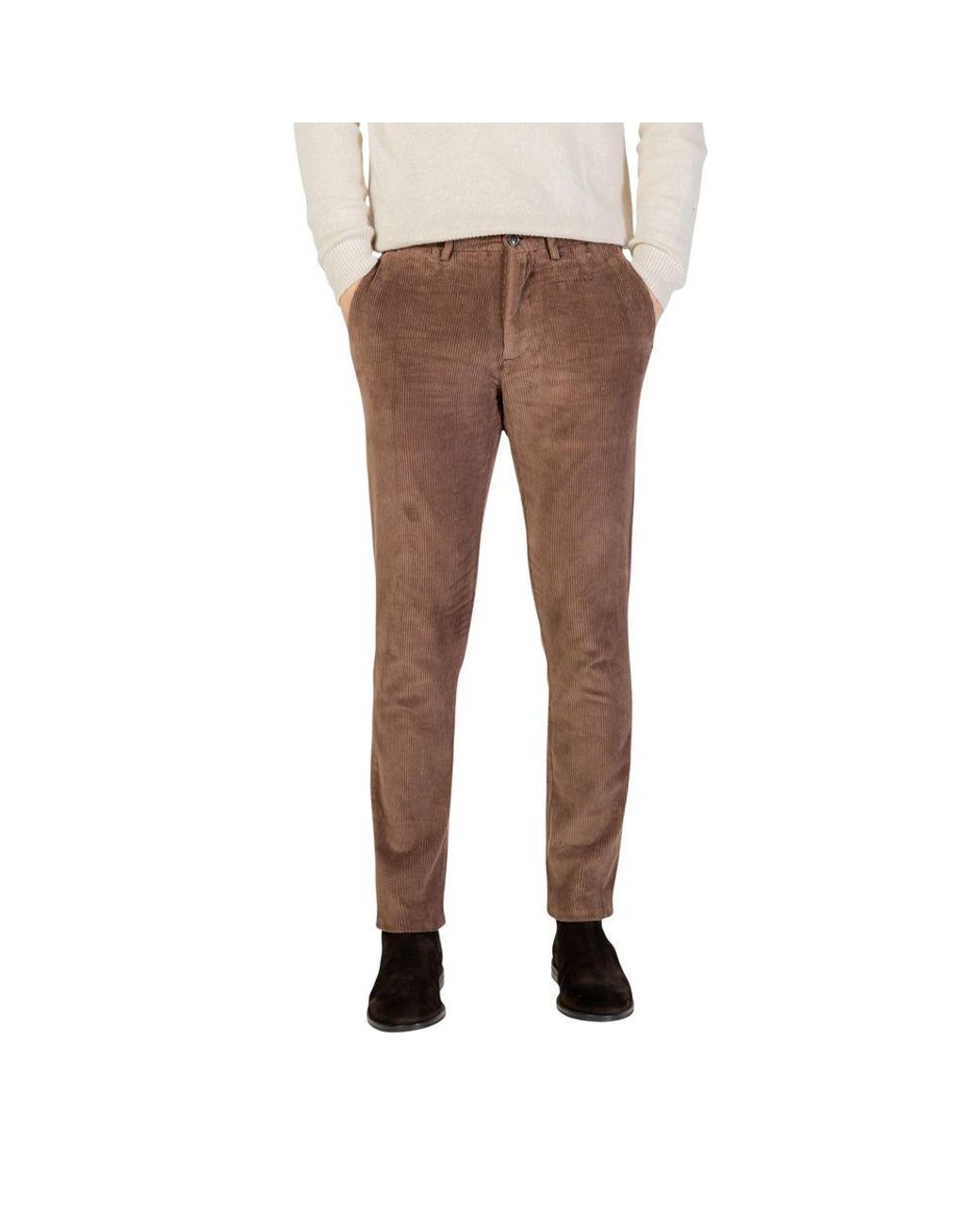 Borghese Brown Cotton Casual Pants for men