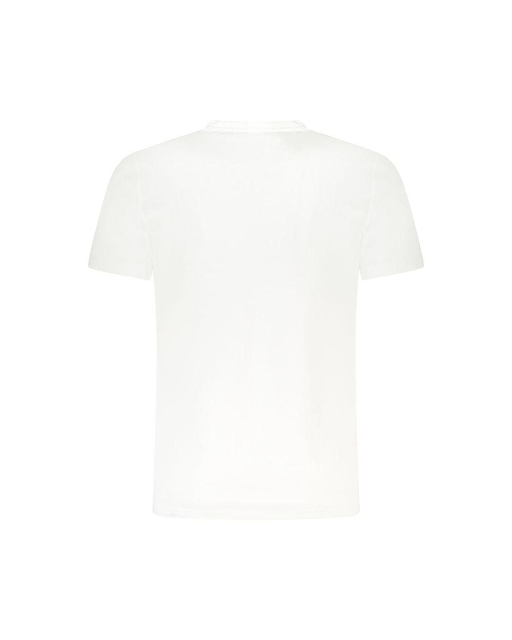 Roberto Cavalli Blue Lion Head Graphic Tee for men