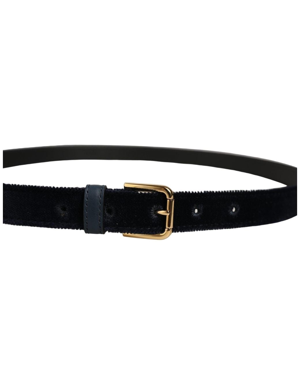 Dolce & Gabbana Black Dark Blue Velvet Gold Tone Metal Buckle Belt