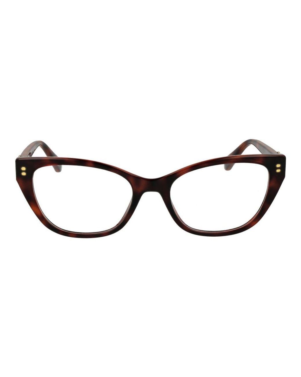 Polaroid Black Brown Polyamide Glasses (frames)