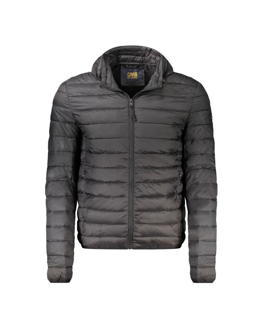 Roberto Cavalli Gray Polyester Jacket for men