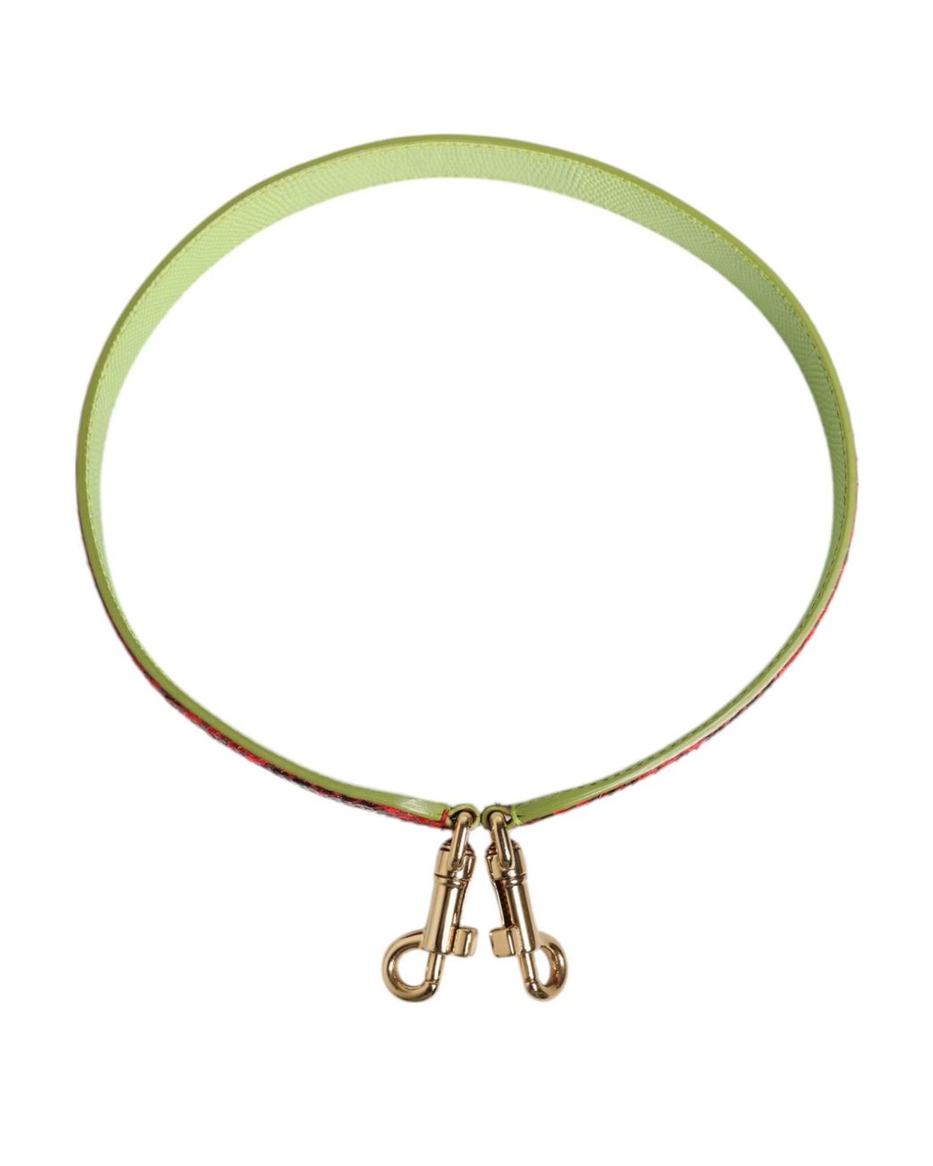 Dolce & Gabbana Green Red Exotic Leather Handbag Accessory Shoulder Strap