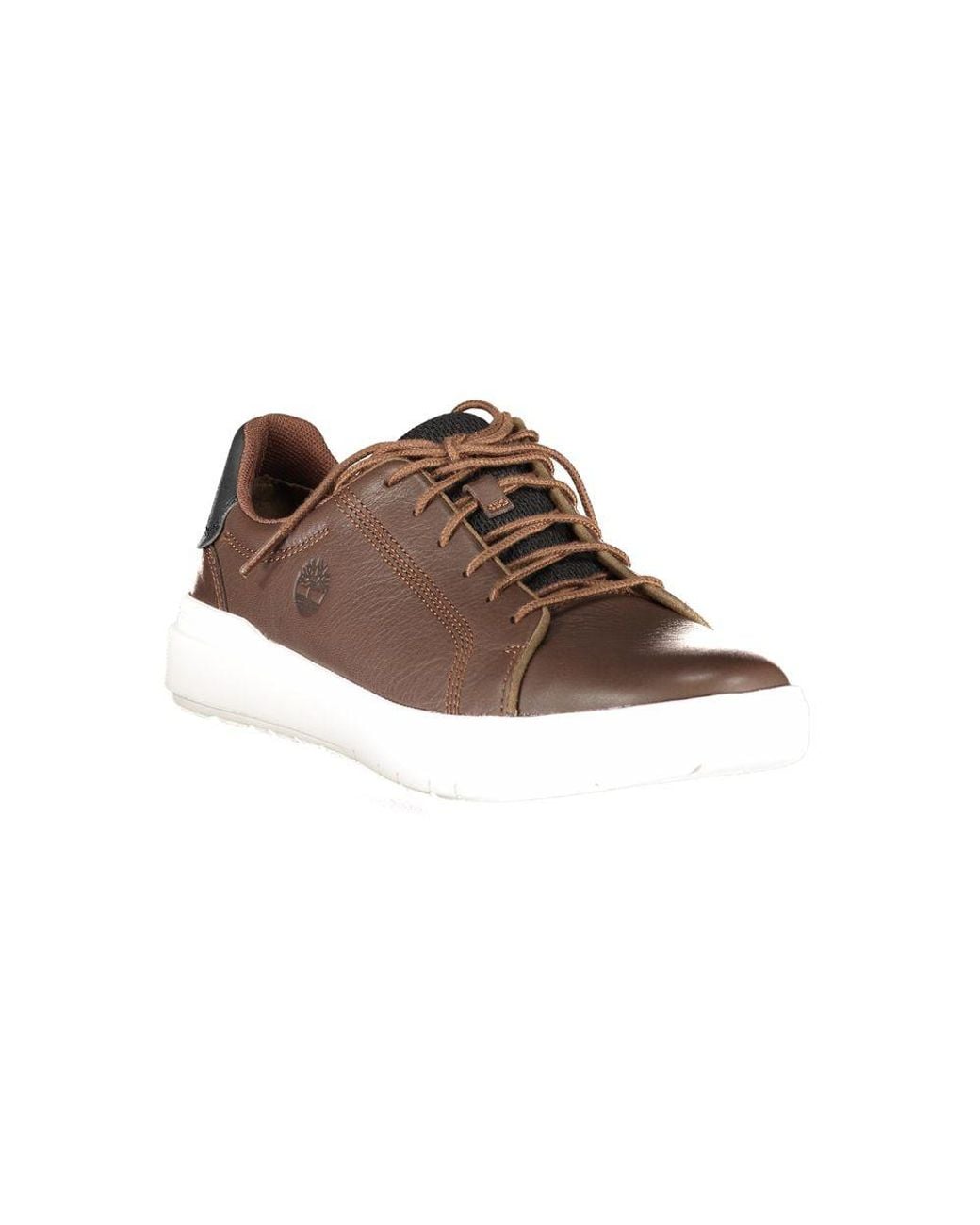 Timberland Brown Leather Casual Sneakers for men