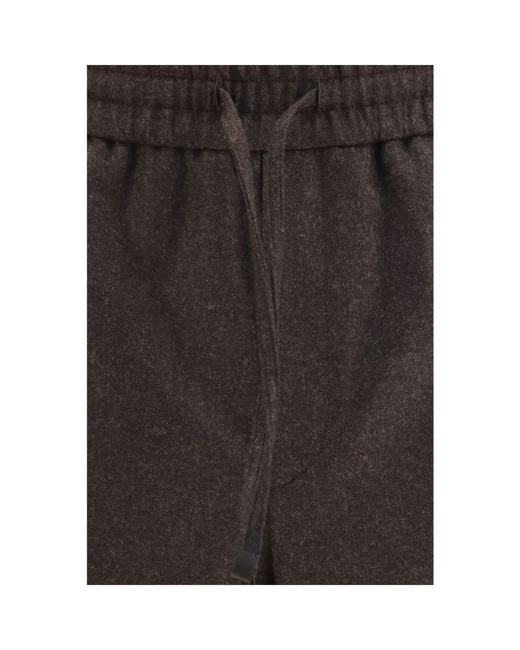 Brioni Brown Wool Oves Aries Casual Pants for men
