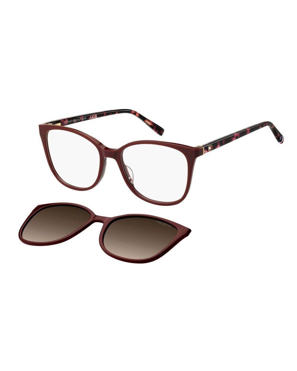 Tommy Hilfiger Brown Burgundy Acetate Glasses (frames)