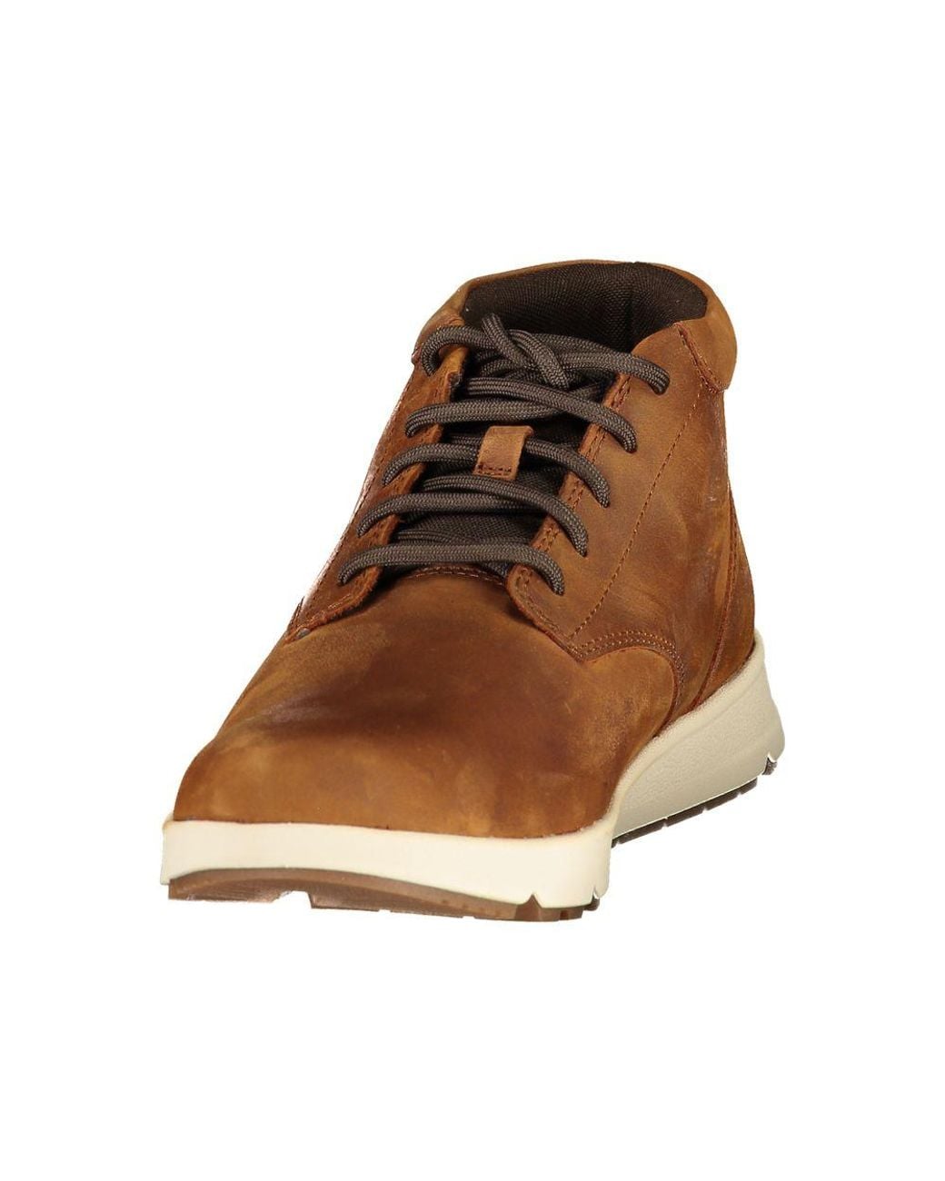 Timberland Brown Polyurethane Men's Sneaker for men