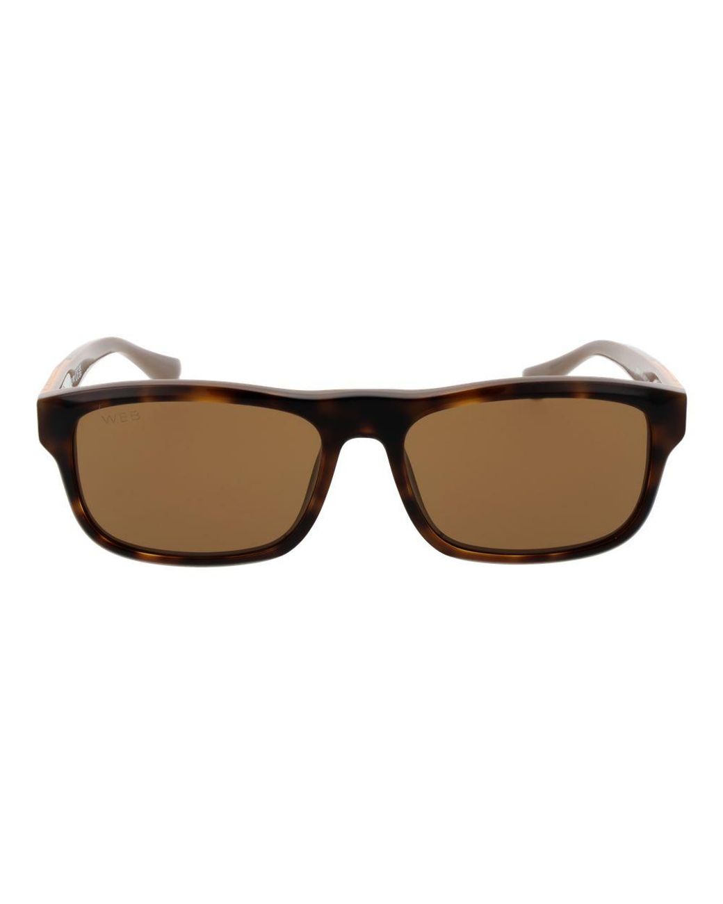 Web Brown Acetate Sunglasses for men