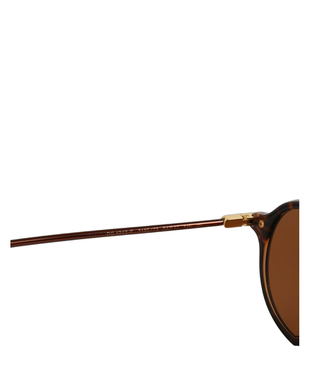 Dolce & Gabbana Brown Dg4343F Havana Tortoise Eyewear Sunglasses