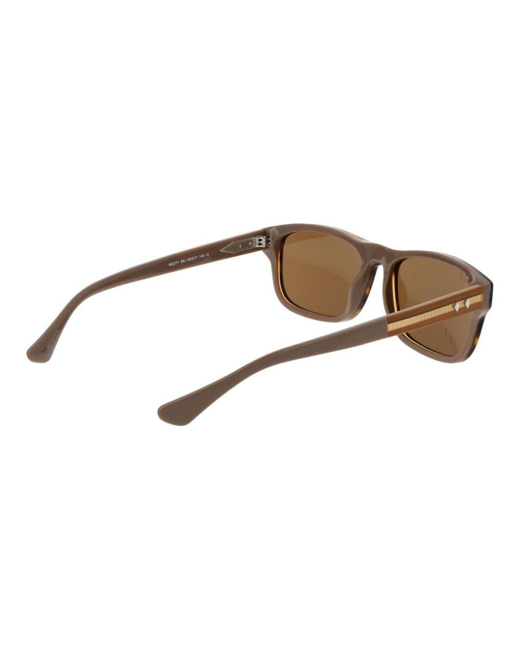 Web Brown Acetate Sunglasses for men