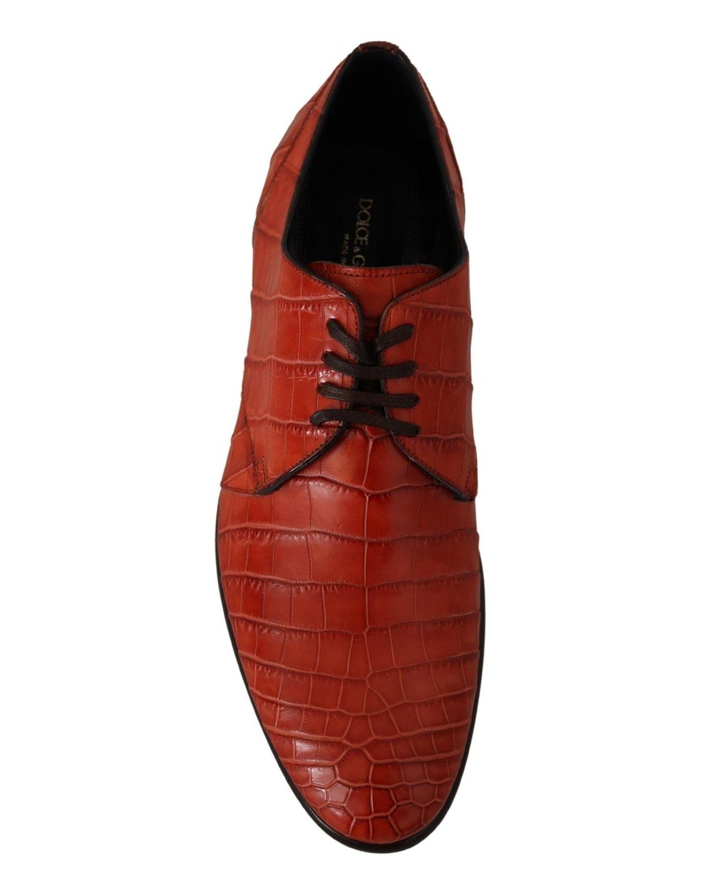 Dolce & Gabbana Red Exotic Leather Dress Derby Shoes for men