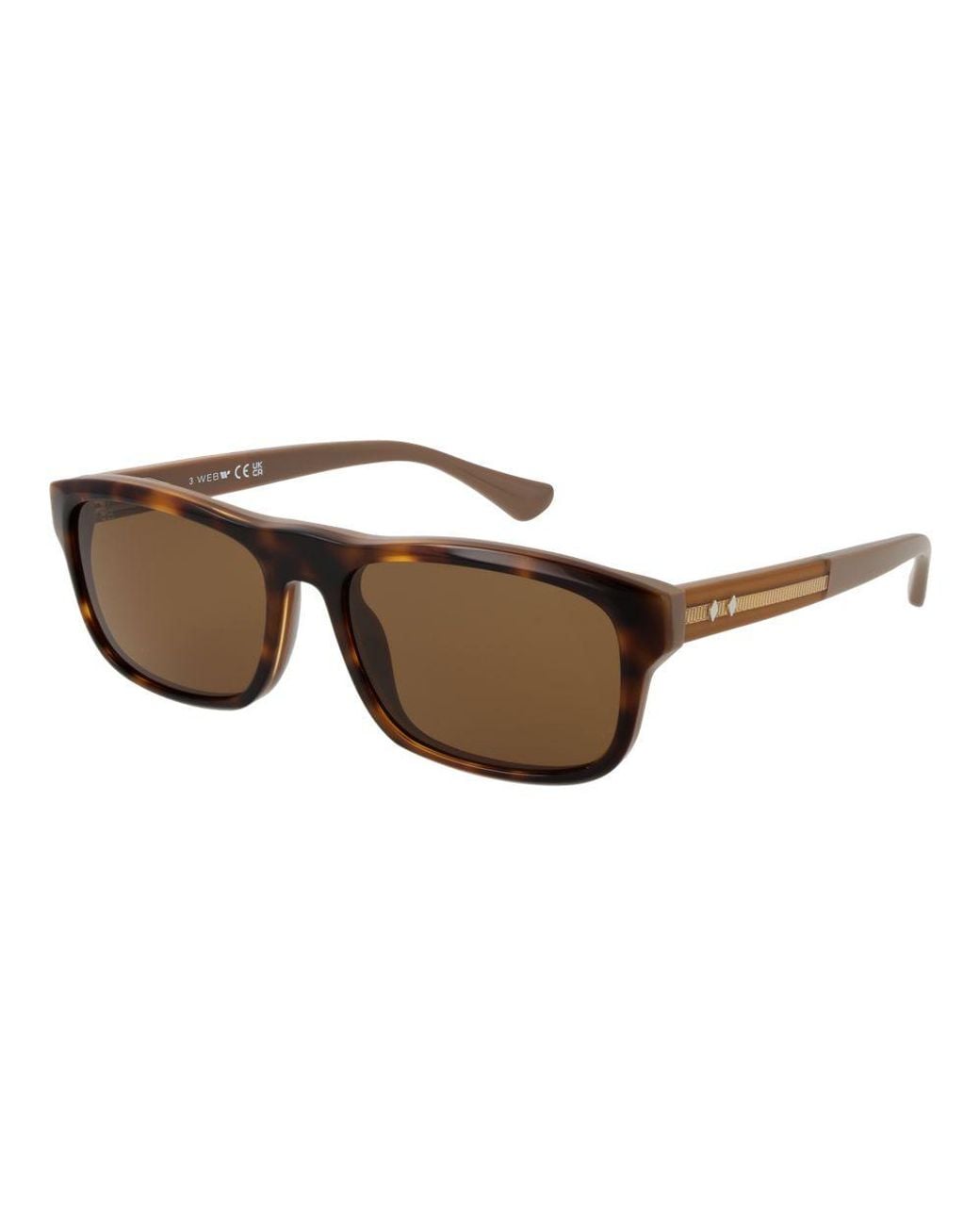 Web Brown Acetate Sunglasses for men