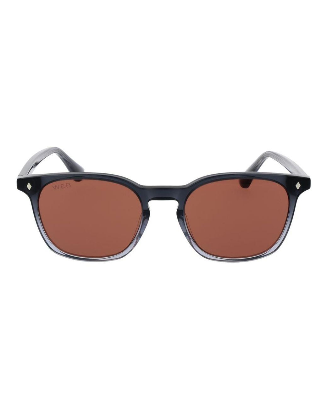 Web Brown Gray Acetate Sunglasses for men