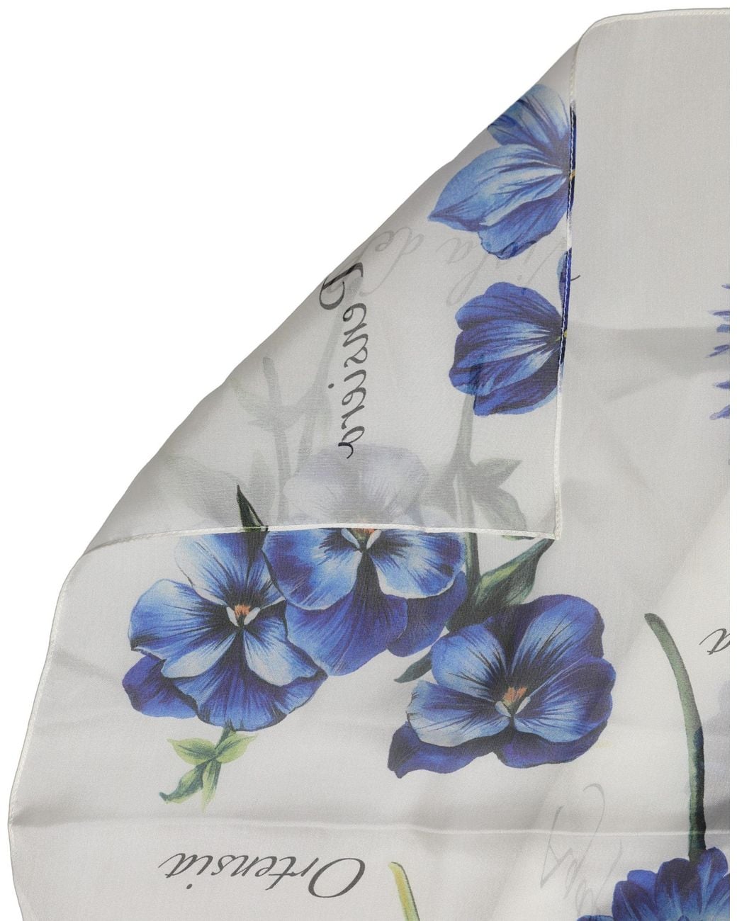 Dolce & Gabbana Blue White Silk Floral Chiffon Long Stole Scarf